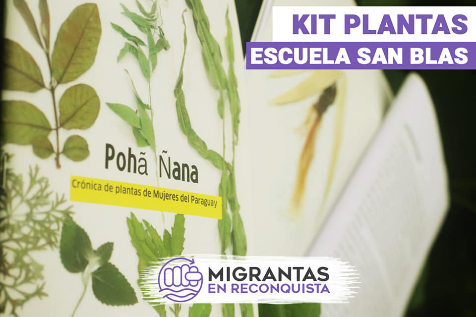 Kit plantas. Escuela San Blas.